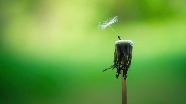 Thank you for Staying – What to say to someone struggling with Suicidal Ideation